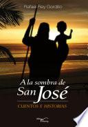 Libro A la sombra de San José