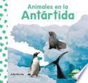Animales En La Antártida (Animals in Antarctica)