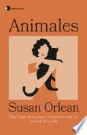 Libro Animales