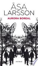 Aurora boreal