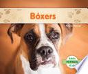 Libro Bóxers (Boxers) (Spanish Version)