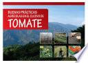 Buenas prácticas agrícolas en el cultivo de tomate