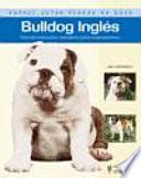 Bulldog ingles/ Bulldog