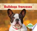 Libro Bulldogs franceses (French Bulldogs ) (Spanish Version)