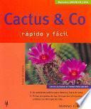 Cactus & Co