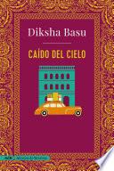 Libro Caído del cielo (AdN)