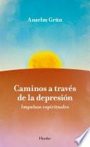 Libro Caminos a través de la depresión