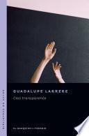 Libro Casi transparente