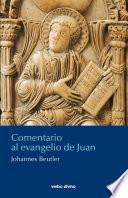 Libro Comentario al evangelio de Juan