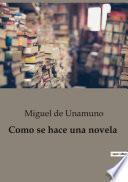 Libro Como se hace una novela