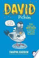 Libro David Pichón