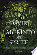 Libro David y el laberinto del sprite