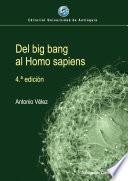 Libro Del big bang al Homo sapiens