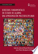 Derechos fundamentales en estado de alarma: Una aproximación multidisciplinar.