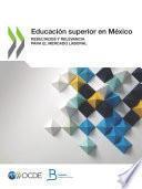 Educación superior en México Resultados y relevancia para el mercado laboral