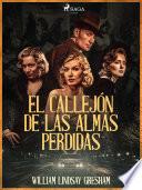 Libro El callejón de las almas perdidas