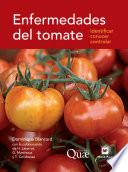 ENFERMEDADES DEL TOMATE
