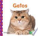 Libro Gatos (Cats) (Spanish Version)