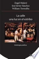 Libro La calle una luz en el estribo: Antología poetica