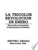 La tricolor revolución de enero