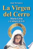 Libro La virgen del cerro