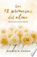 Libro Las 12 Promesas del Alma: Una Guia Para La Sanacion Espiritual