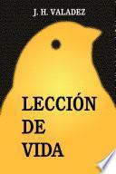 Libro Lección de Vida