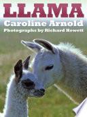 Libro Llama