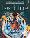 Libro Los Felinos