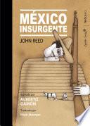 Libro México Insurgente