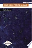 Libro Muchacho frente al mar