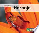 Libro Naranja