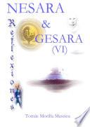 NESARA & GESARA... Reflexiones (VI)