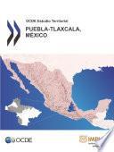 OCDE Estudio Territorial: Puebla-Tlaxcala, México 2013