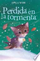 Libro Perdida en la tormenta