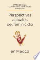 Perspectivas actuales del feminicidio en México