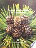 Libro Plagas y enfermedades de las coníferas
