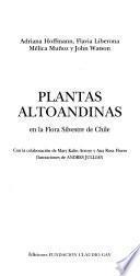 Plantas altoandinas en la flora silvestre de Chile