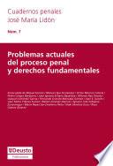 Libro Problemas actuales del proceso penal y derechos fundamentales