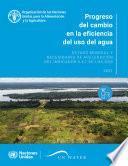 Libro Progreso del cambio en la eficiencia del uso del agua