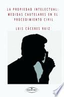 Libro PROPIEDAD INTELECTUAL: MEDIDAS CAUTELARES EN EL PROCEDIMIENTO CIVIL