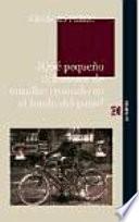 Libro ¿Qué pequeño ciclomotor de manillar cromado en el fondo del patio?