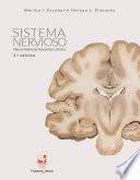 Libro Sistema nervioso