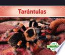 Libro Tarántulas (Tarantula Spiders) (Spanish Version)